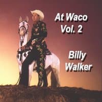 At Waco, Vol. 2