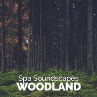 Spa Soundscapes: Woodland