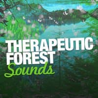 Therapeutic Forest Sounds