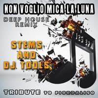 Non voglio mica la luna : Deep House Remix, Stems and DJ Tools, Tribute to Fiordaliso