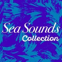 Sea Sounds Collection