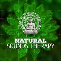 Natural Sounds Therapy