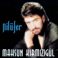 Nilüfer