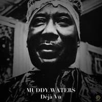 Muddy Waters: Déjà Vu