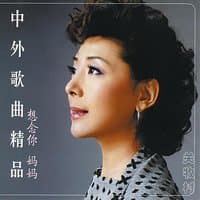 Famous Chinese and Foreign Songs: Vol. 2 - Guang Mucun (Zhong Wai Ge Qu Jing Pin Er: Guang Mucun)