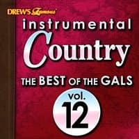 Instrumental Country: The Best of the Gals, Vol. 12