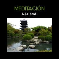 Meditación Natural - Música Dichosa para Lleno de Calma, Hipnosis Mente, Practica tu Zen, Relajación Positiva con Buda