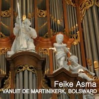 Feike Asma in de Martinkerk, Bolswaard