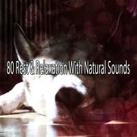 80 Rest & Relaxation with Natural Sounds