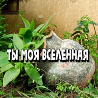 Ты моя Вселенная