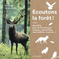 Écoutons la forêt ! (64 Sons de la nature)