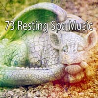 73 Resting Spa Music