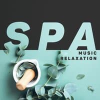 Spa Music Relaxation: Energizing Treatments, Calm Sounds, Soothing Atmosphere