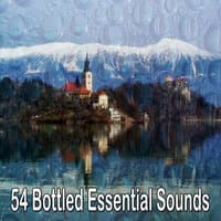 54 Bottled Essential Sounds