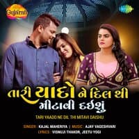 Tari Yaado Ne Dil Thi Mitavi Daishu - Single