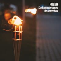 Fuego: Sonidos calmantes de antorchas