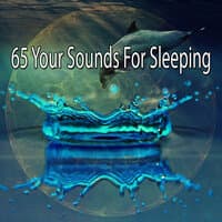 65 Your Sounds for Sleeping