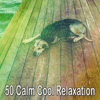 50 Calm Cool Relaxation