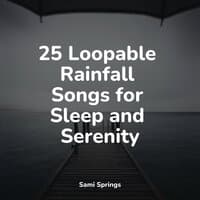 25 Loopable Rainfall Songs for Sleep and Serenity