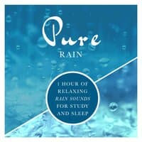 Pure Rain: 1 Hour of Relaxing Rain Sounds for Study and Sleep