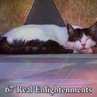 67 Real Enlightenments