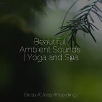 Beautiful Ambient Sounds | Yoga and Spa