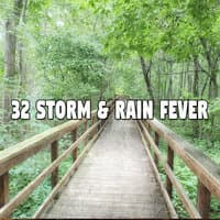 32 Storm & Rain Fever