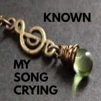 MY SONG CRYING