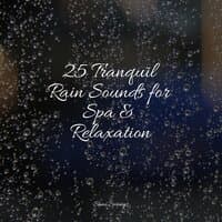 25 Tranquil Rain Sounds for Spa & Relaxation