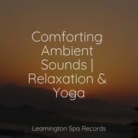 Comforting Ambient Sounds | Relaxation & Yoga