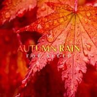 Autumn Rain for Sleep: Cozy Mood & Relaxing Nature Sounds