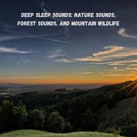 Deep Sleep Sounds: Nature Sounds, Forest Sounds, and Mountain Wildlife