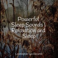 Powerful Sleep Sounds | Relaxation and Sleep