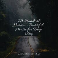 25 Sounds of Nature - Powerful Music for Deep Sleep