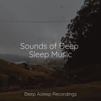 Sounds of Deep Sleep Music