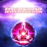 Pineal Gland Resonator Music for Meditation! Detox and Activate the Pineal Gland! God Energy