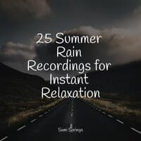 25 Summer Rain Recordings for Instant Relaxation