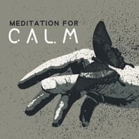 Meditation for Calm - Relieve Anxiety and Stress with Meditative Sounds