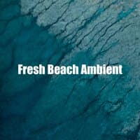 Fresh Beach Ambient