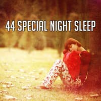 44 Special Night Sleep