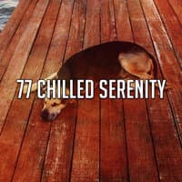 77 Chilled Serenity