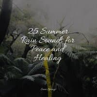 25 Summer Rain Sounds for Peace and Healing