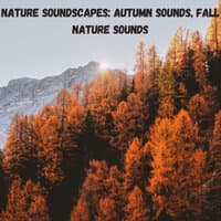 Nature Soundscapes: Autumn Sounds, Fall Nature Sounds