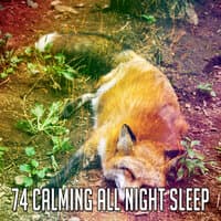 74 Calming All Night Sleep