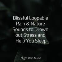 Blissful Loopable Rain & Nature Sounds to Drown out Stress and Help You Sleep