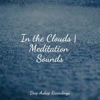 In the Clouds | Meditation Sounds