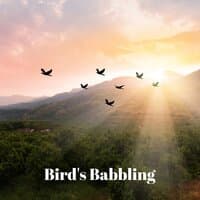 Bird's Babbling: Nature Sounds, Birdsong Therapy, Stress Relief, Relaxation & Balance Time