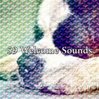 59 Welcome Sounds