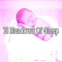 78 Meadows of Sle - EP