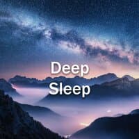 Deep Sleep